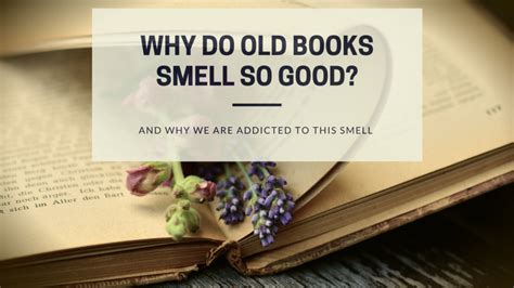 What Do Old Books Smell Like and Why Does It Matter?